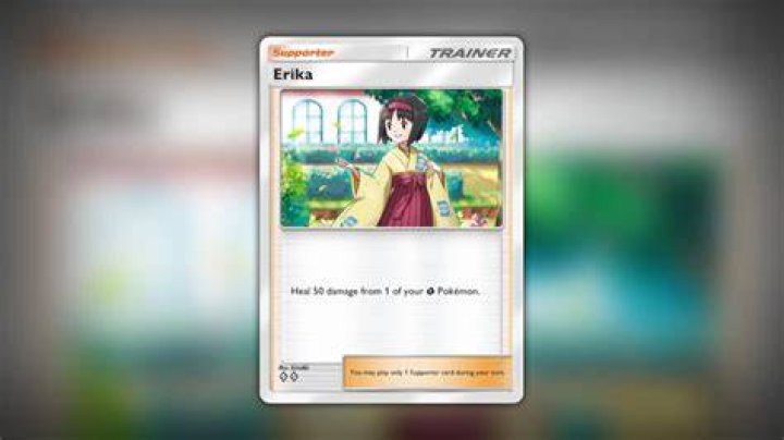 Erika Shishidoの名前検索に関するイメージ
